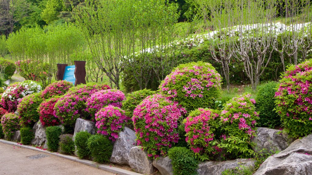 Jardín Botánico de Namsan mostrando flores silvestres y un parque