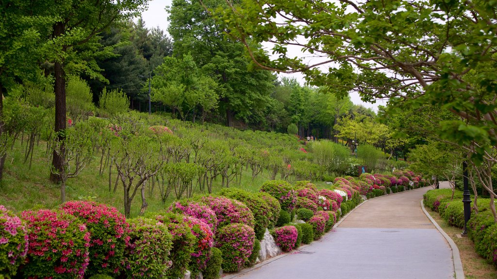 Namsan Botanical Garden showing a garden and wild flowers