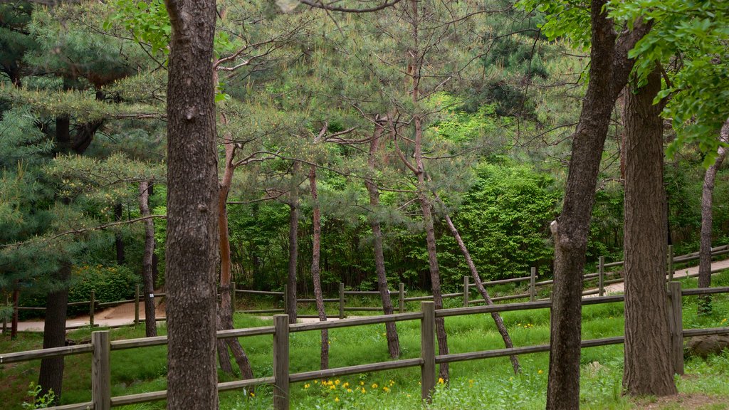 Namsan Botanical Garden showing a park