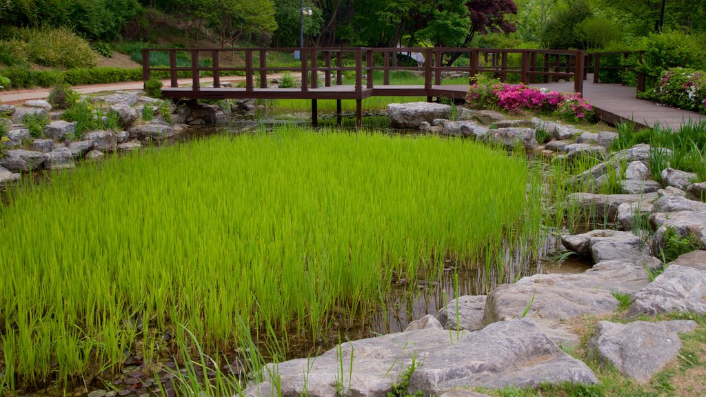 Namsan Botanical Garden featuring a pond, a park and a bridge