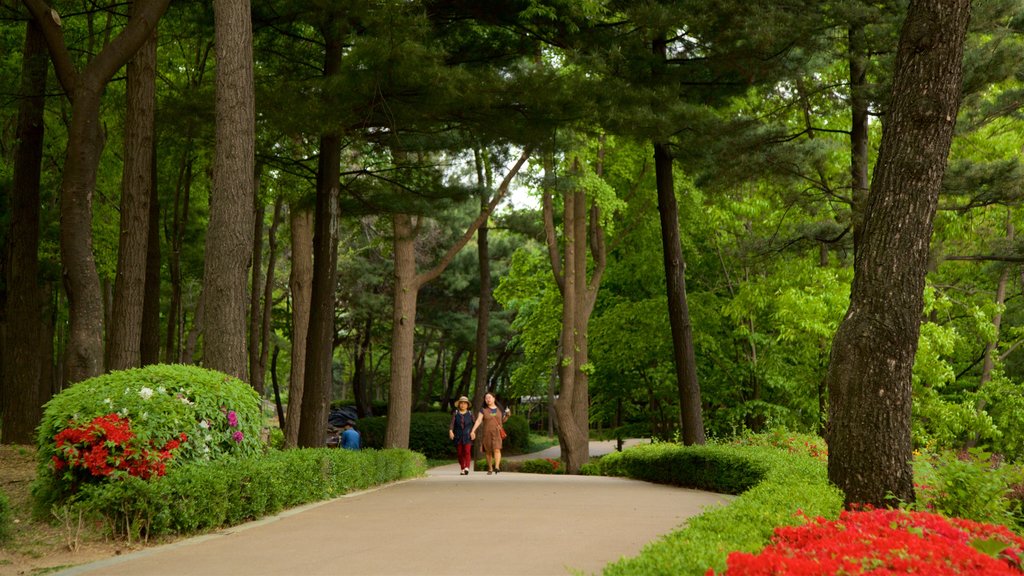 Namsan Botanical Garden showing wild flowers and a park as well as a couple