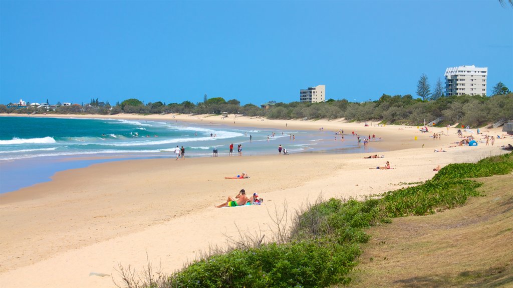 Mooloolaba mostrando paisagens litorâneas e uma praia de areia assim como um pequeno grupo de pessoas