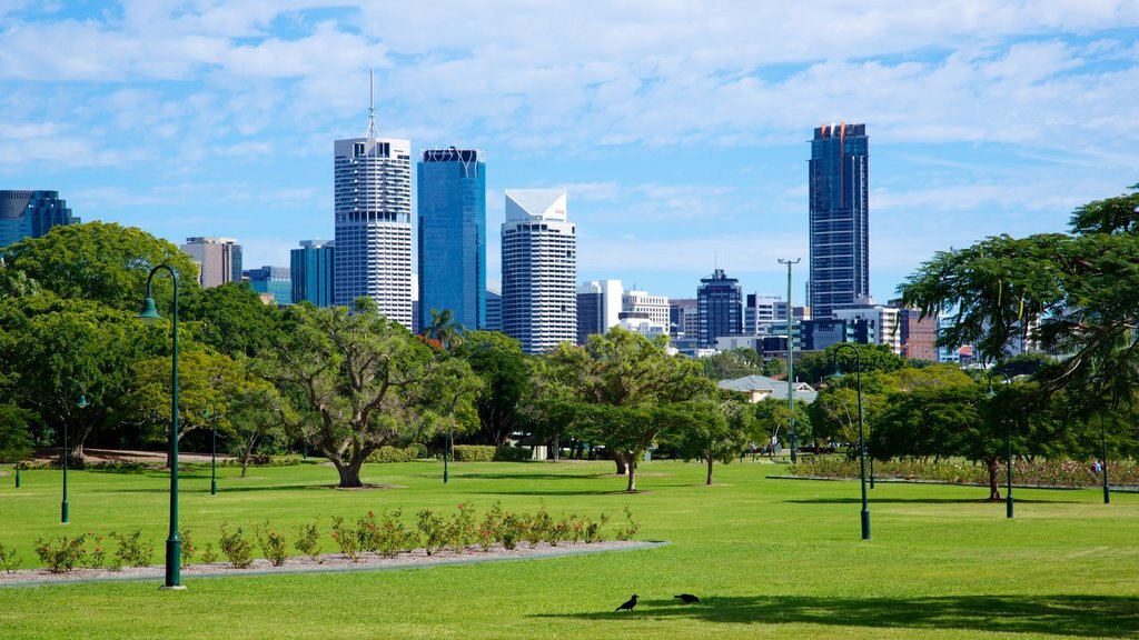 New Farm showing a high-rise building, a garden and a city