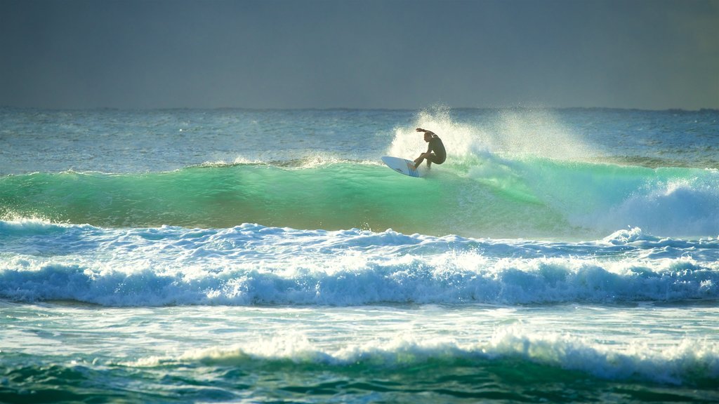 New South Wales showing a sunset, surfing and general coastal views