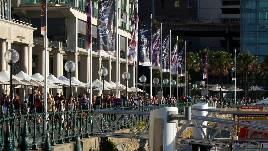 Circular Quay - The Rocks ofreciendo una bahía o un puerto y también un gran grupo de personas