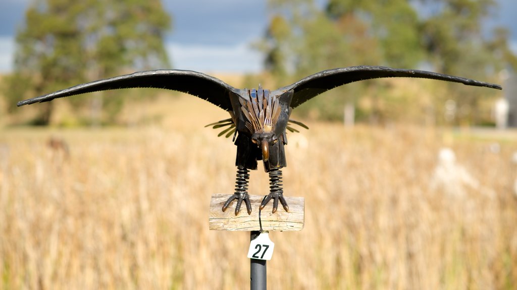 Hunter Valley ofreciendo arte al aire libre