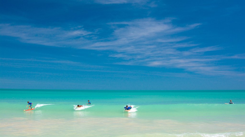 Broome mostrando vista general a la costa, surf y escenas tropicales