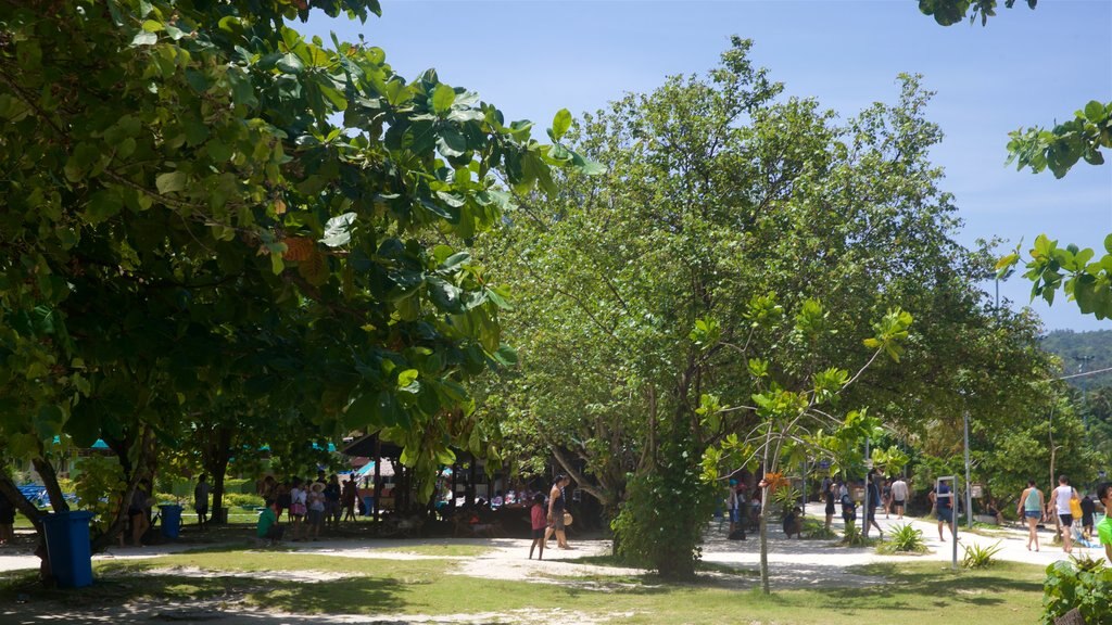 Ko Phi Phi featuring a garden as well as a small group of people