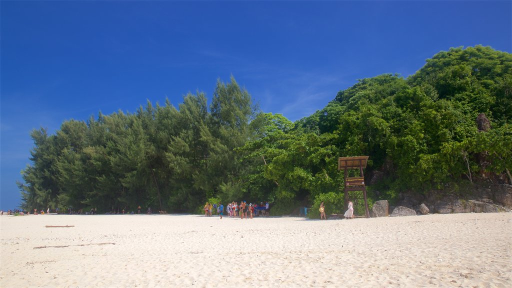 Bamboo Island mit einem Sandstrand und allgemeine Küstenansicht sowie kleine Menschengruppe