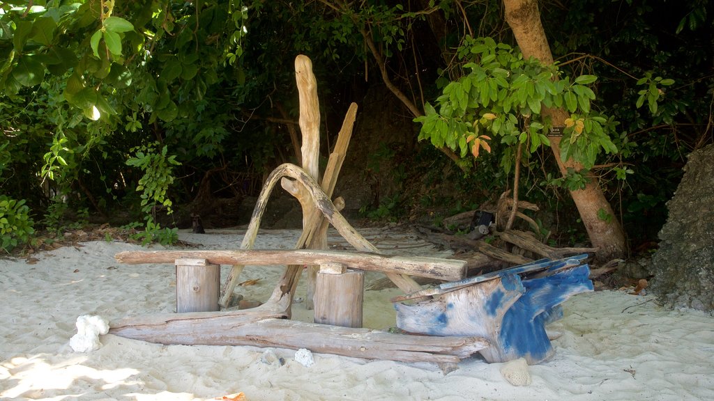 Bamboo Island showing general coastal views and a sandy beach