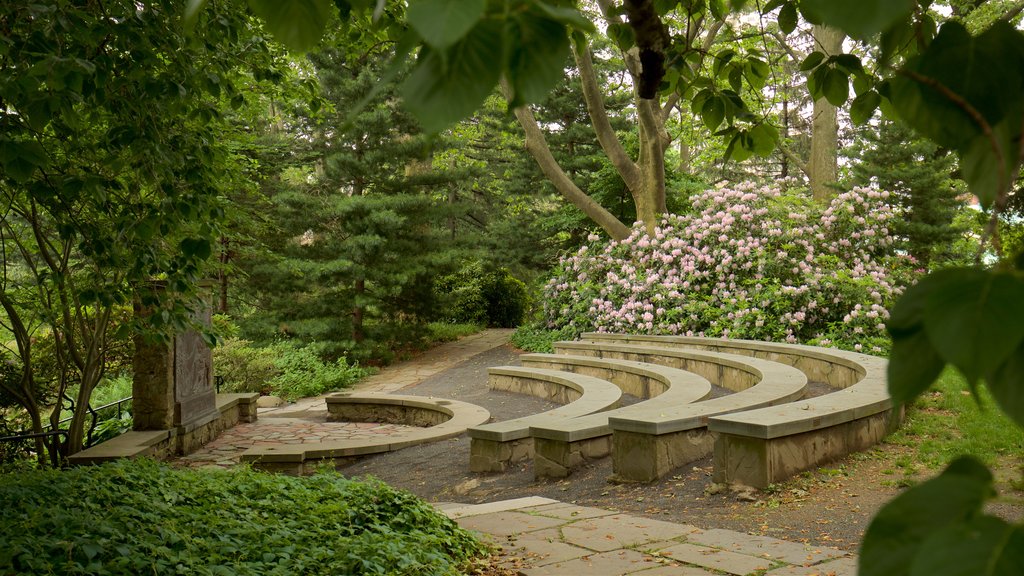 Jardín Botánico de Brooklyn mostrando flores silvestres, un parque y elementos del patrimonio