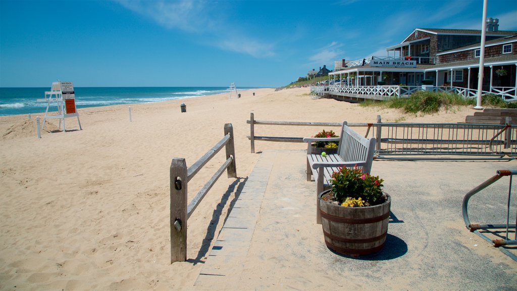 East Hampton Main Beach showing a sandy beach, general coastal views and flowers