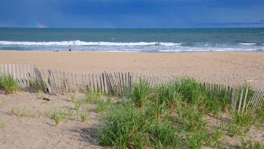 Georgica Beach showing general coastal views and a beach