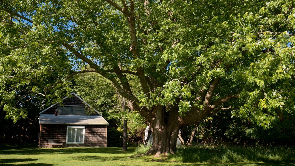 Pollack-Krasner House and Studio featuring a house