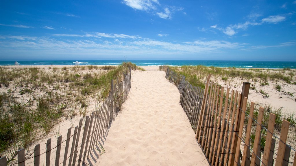 Strand von Ponquogue