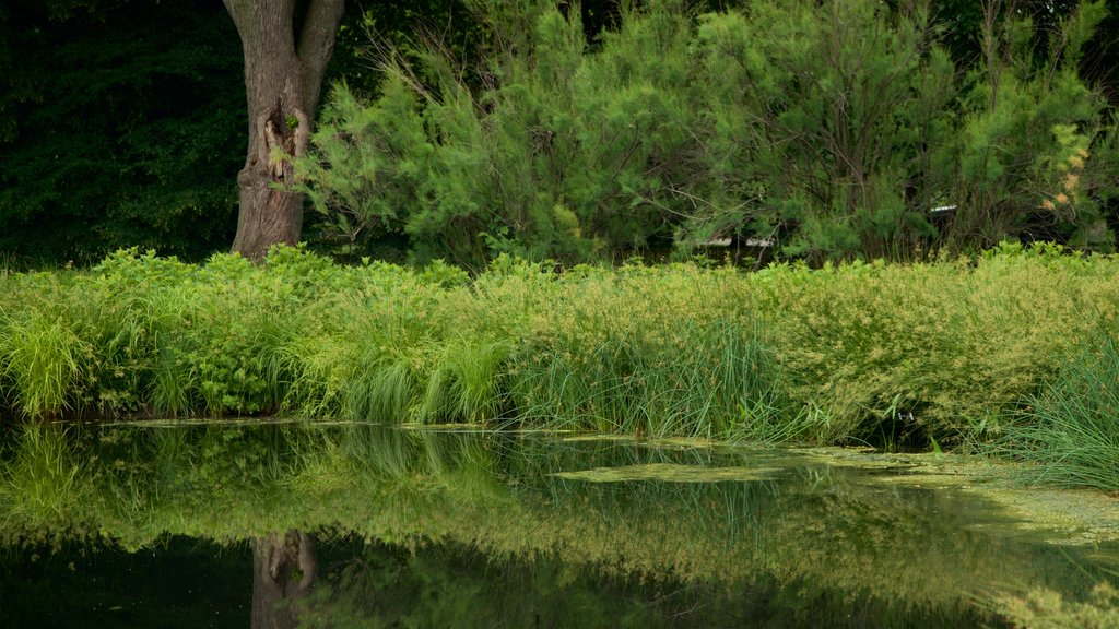 Brooklyn botaniske hager