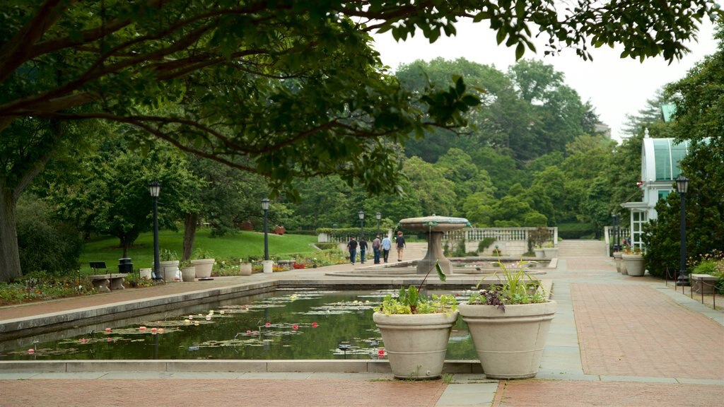 Brooklyn Botanic Gardens