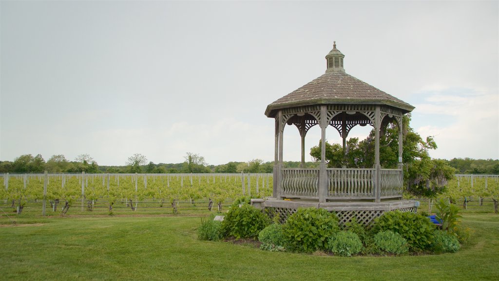 Wolffer Estates Vineyard