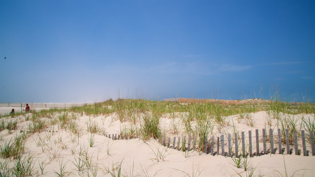 Strand von Ponquogue