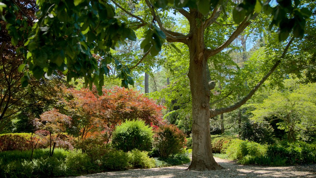 LongHouse Reserve