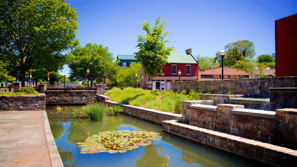 Carrol Creek Linear Park