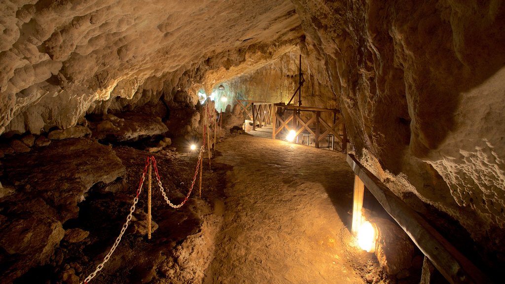 Cueva Riparo del Romito