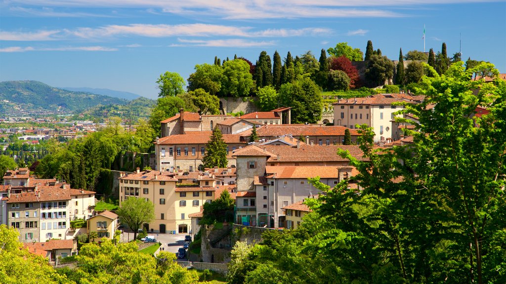 Bergamo Botanical Garden