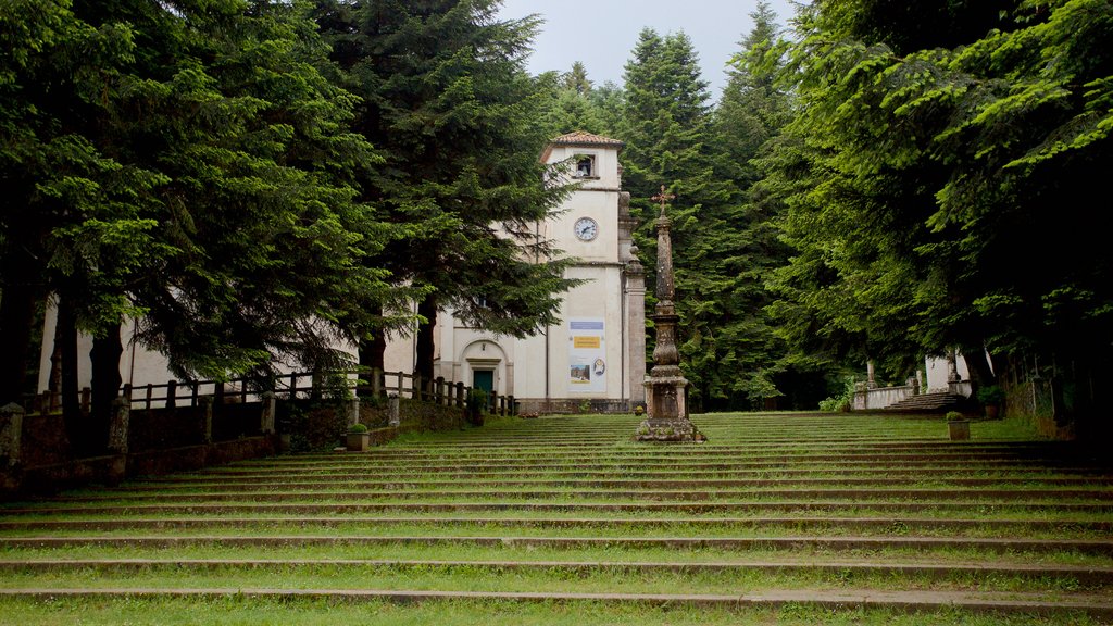 Serra San Bruno