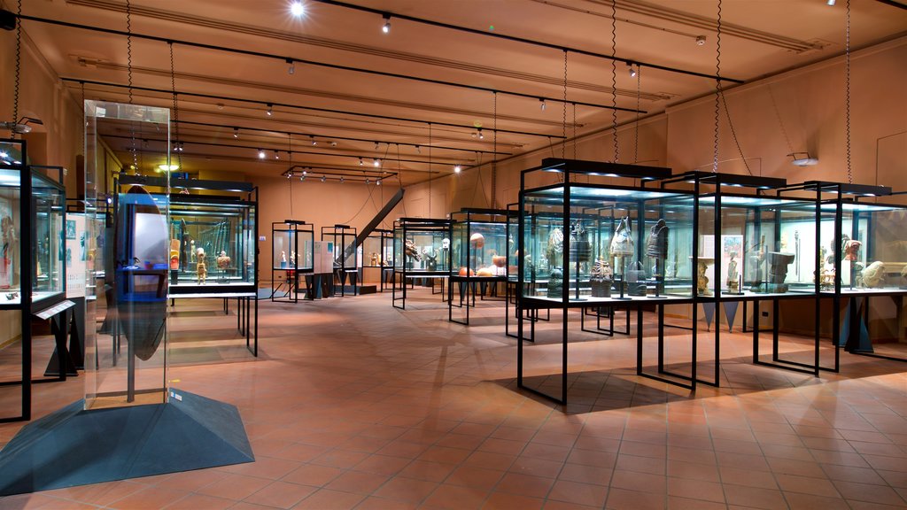 Museo di Scienze Naturali Enrico Caffi