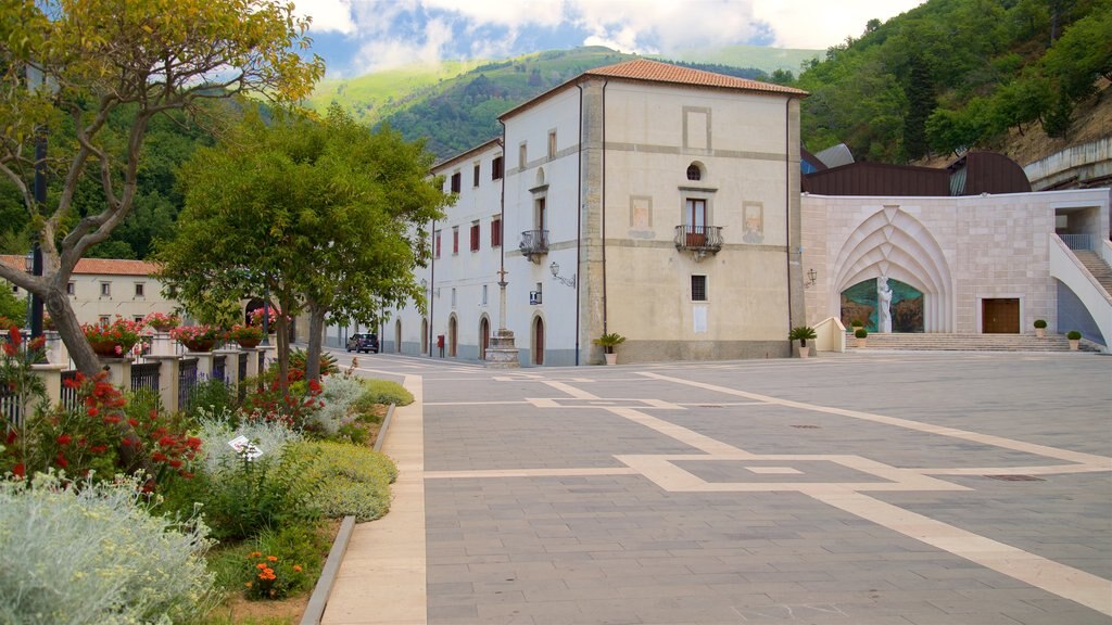 Santuario de San Francisco de Paula