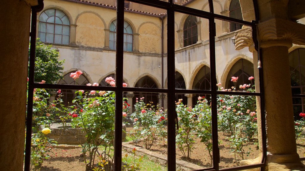 Santuario de San Francisco de Paula