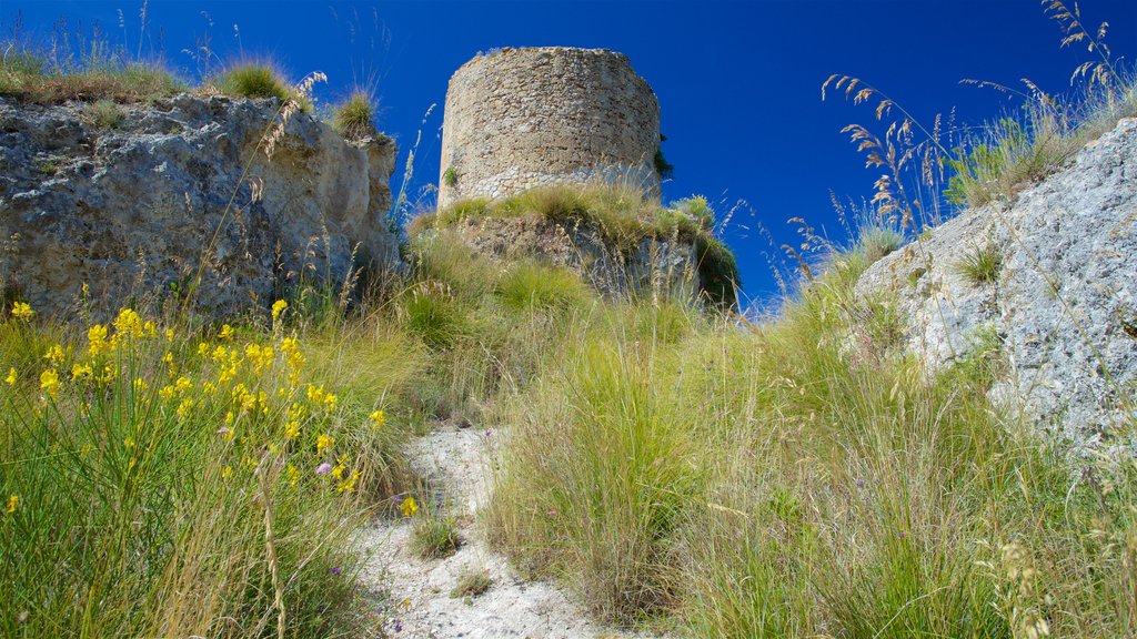 Torre Marrana