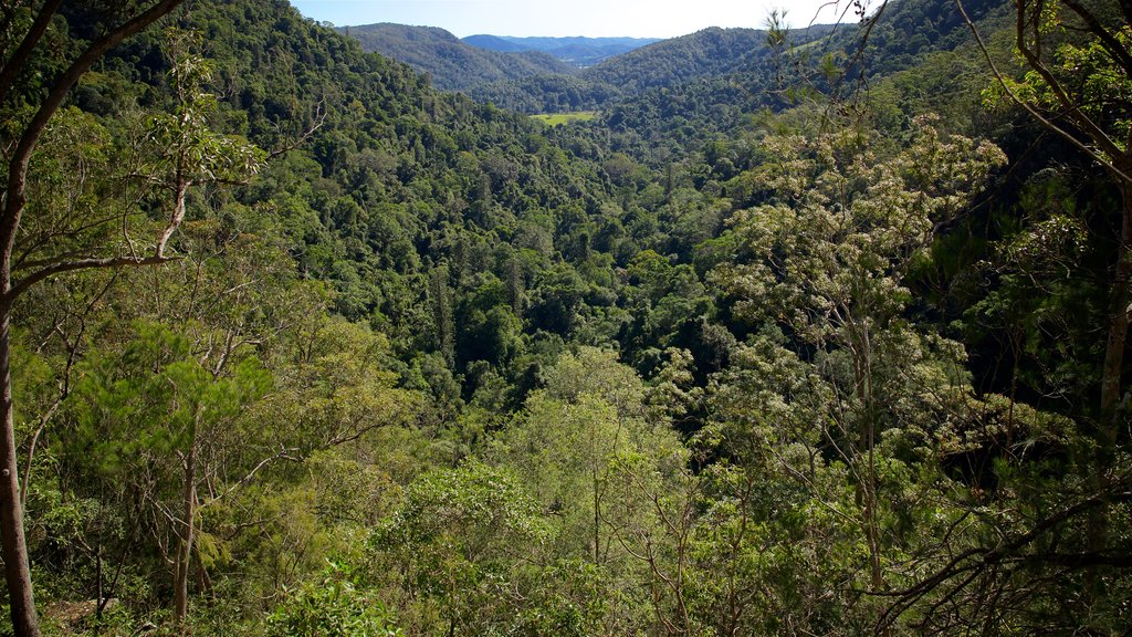 Parque nacional Kondalilla