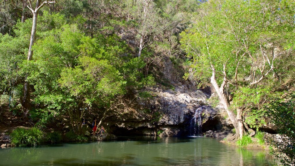 Parque nacional Kondalilla