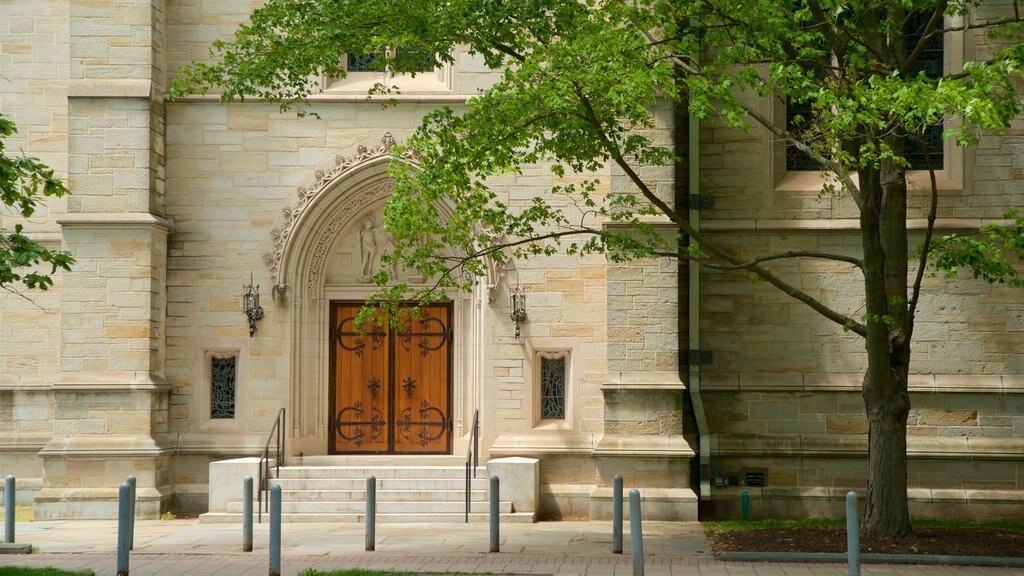 Princeton University que inclui elementos de patrimônio