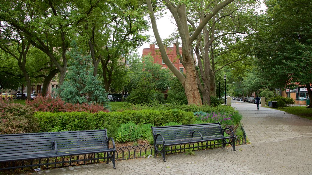 Hamilton Park which includes a garden