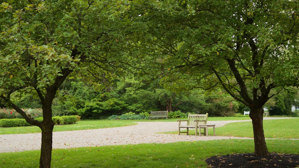 Drumthwacket featuring a garden