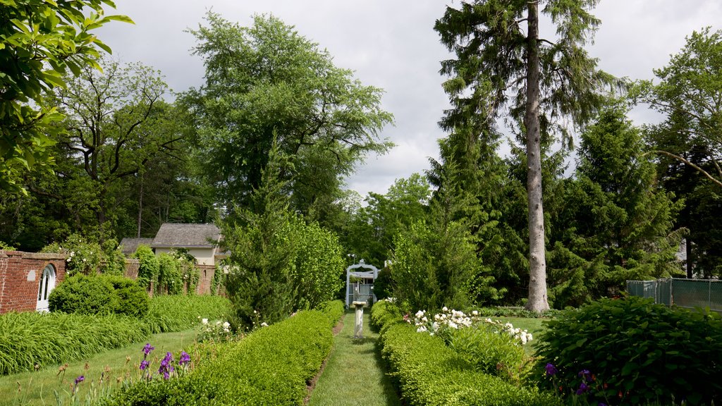 Morven ofreciendo flores y jardín