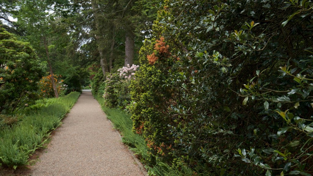 Van Vleck House & Gardens mostrando flores silvestres y un parque