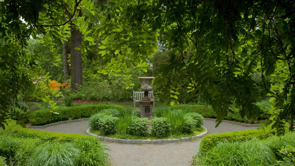 Van Vleck House & Gardens featuring a park