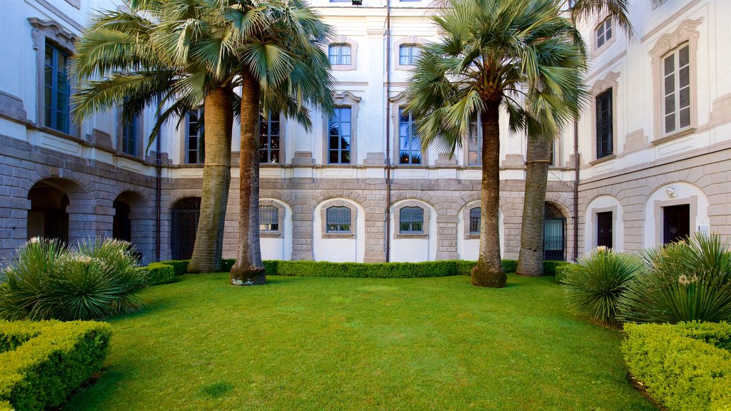 Borromeo Palace and Garden showing a park