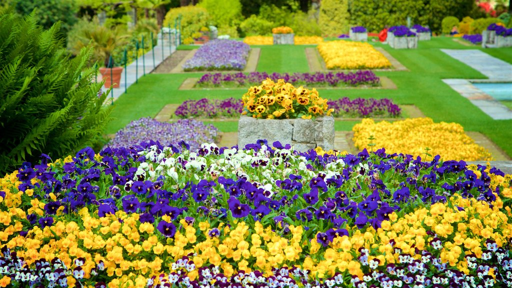 Jardín Botánico Villa Taranto mostrando flores y jardín