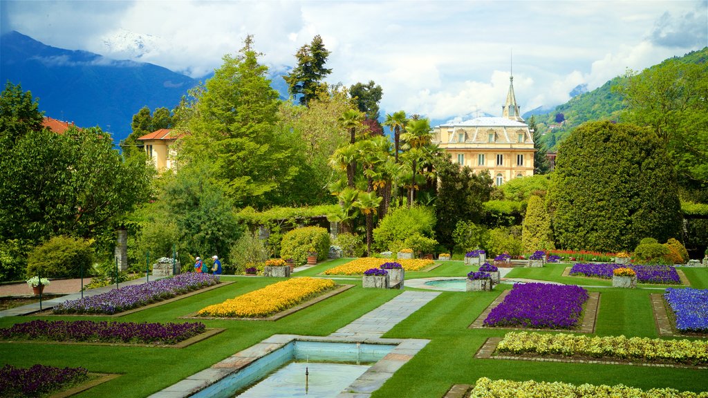 Villa Taranto Botanical Garden showing flowers and a park