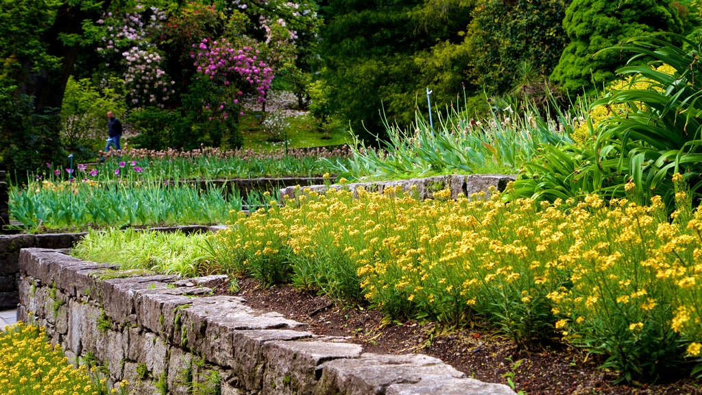 Villa Taranto Botanical Garden featuring a garden and flowers