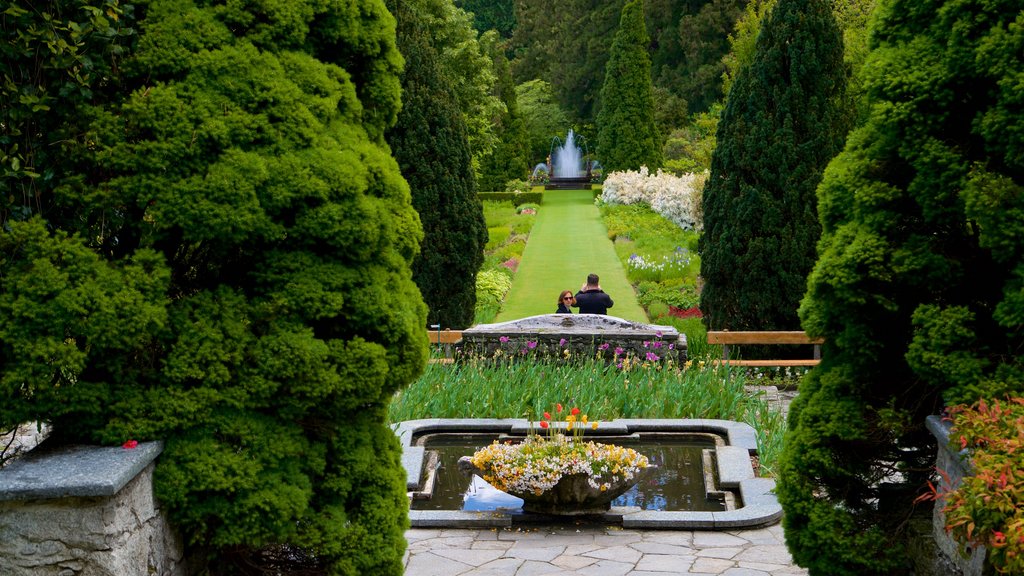 Villa Taranto Botanical Garden showing a fountain, flowers and a park