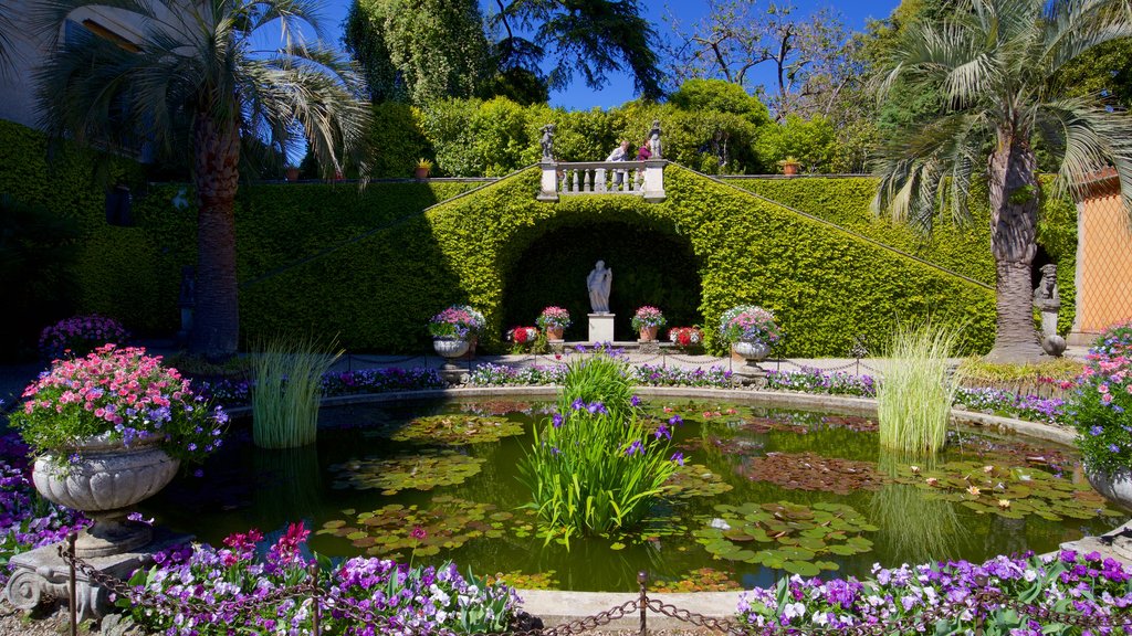 Isola Madre Botaniske Have som viser vilde blomster, et springvand og en dam