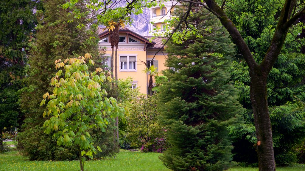 Villa Fedora showing a park and a house