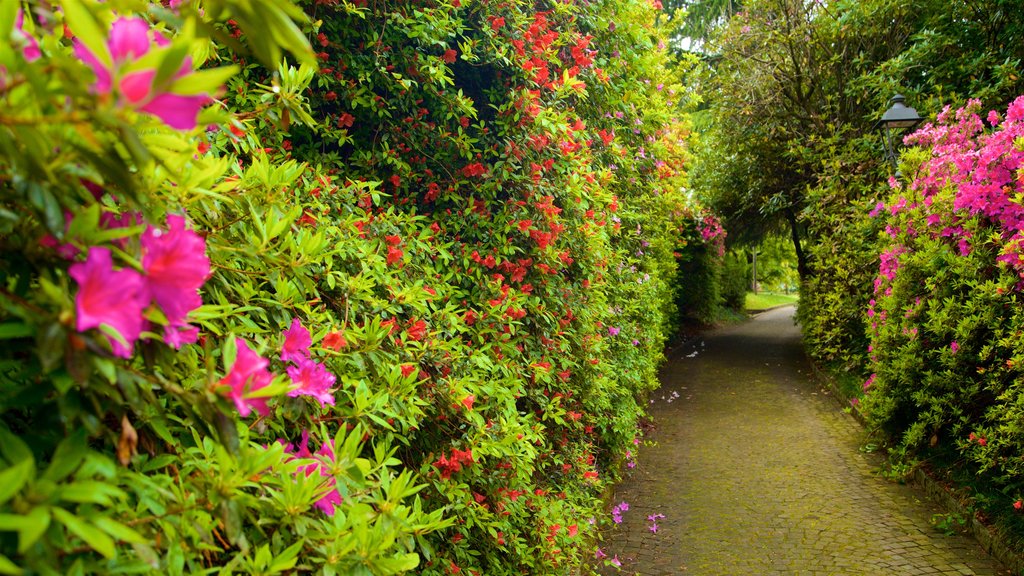 Villa Fedora ofreciendo un parque y flores silvestres