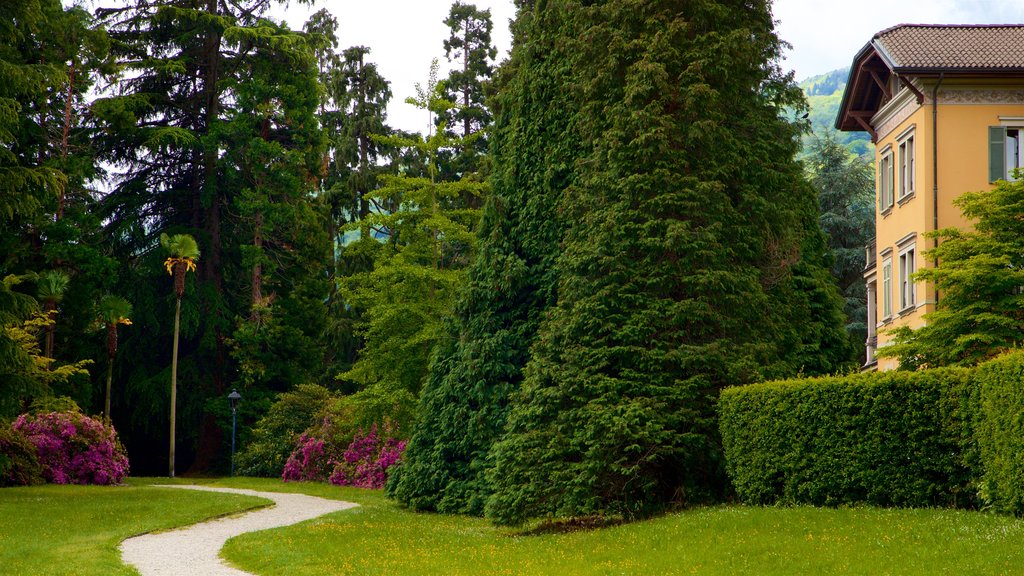 Villa Fedora showing wildflowers, a house and a park