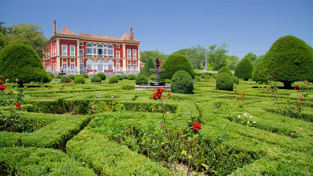 Palácio dos Marqueses de Fronteira mostrando elementos de patrimônio, flores silvestres e um parque